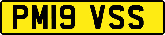 PM19VSS