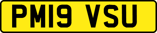 PM19VSU