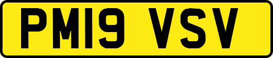 PM19VSV