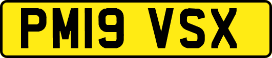 PM19VSX