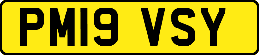 PM19VSY