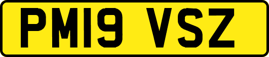 PM19VSZ