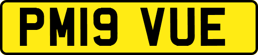 PM19VUE