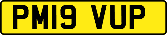 PM19VUP