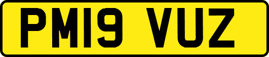 PM19VUZ