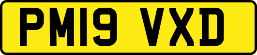 PM19VXD