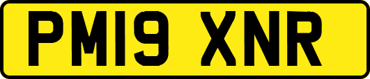 PM19XNR