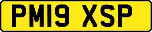 PM19XSP