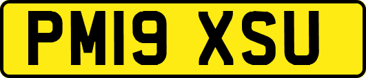 PM19XSU