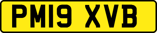 PM19XVB