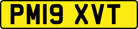 PM19XVT