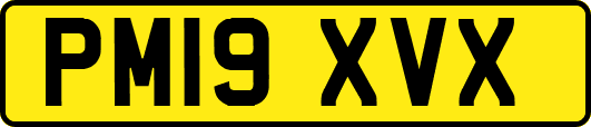 PM19XVX