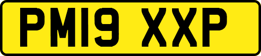 PM19XXP