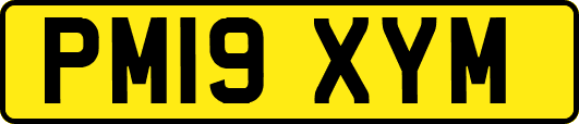 PM19XYM