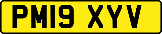 PM19XYV