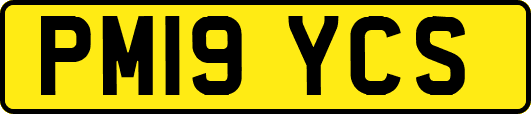 PM19YCS