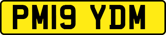 PM19YDM