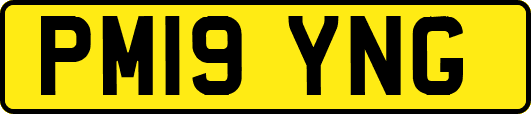 PM19YNG