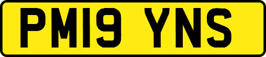 PM19YNS