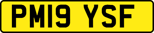 PM19YSF