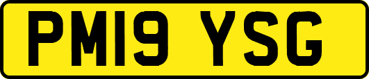 PM19YSG