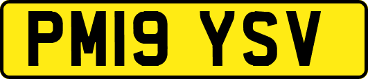 PM19YSV