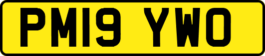 PM19YWO