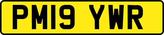 PM19YWR