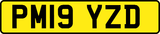 PM19YZD