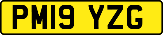 PM19YZG