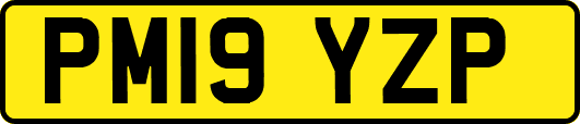 PM19YZP