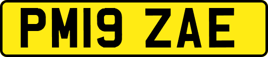 PM19ZAE