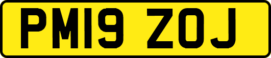 PM19ZOJ