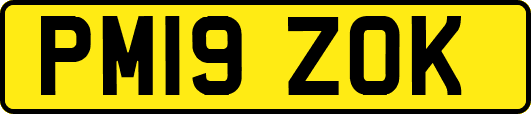 PM19ZOK