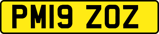 PM19ZOZ