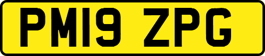 PM19ZPG