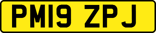 PM19ZPJ