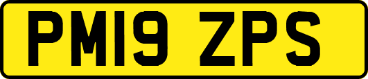 PM19ZPS