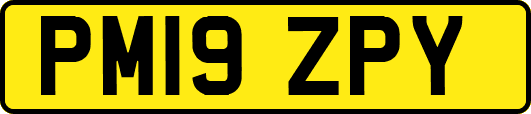 PM19ZPY