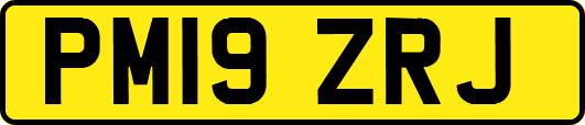 PM19ZRJ