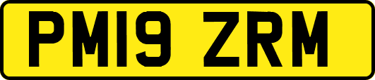 PM19ZRM