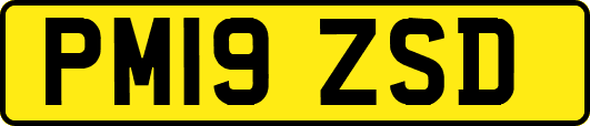 PM19ZSD