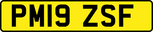 PM19ZSF