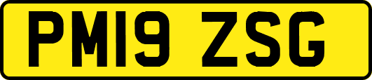 PM19ZSG