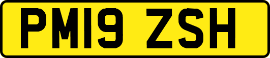 PM19ZSH