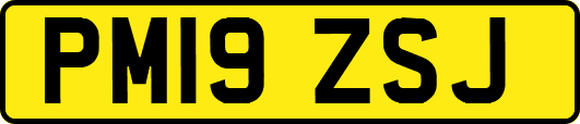 PM19ZSJ