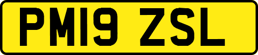 PM19ZSL