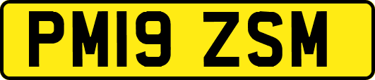 PM19ZSM