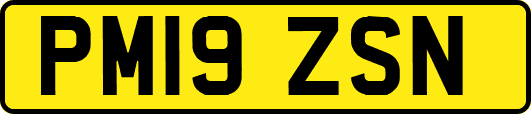 PM19ZSN