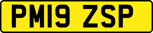 PM19ZSP